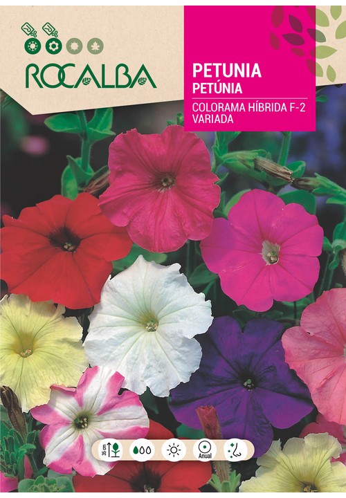 PETÚNIA COLORAMA HIBRIDA F-2 VARIADA