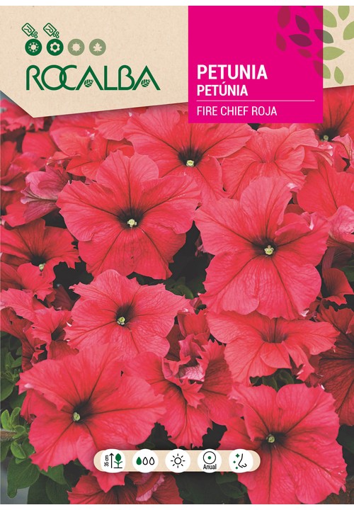 PETÚNIA FIRE CHIEF VERMELHA