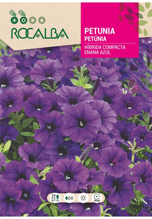 PETÚNIA HÍBRIDA COMPACTA ANÃ AZUL