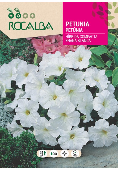 PETÚNIA HÍBRIDA COMPACTA ANÃ BRANCA