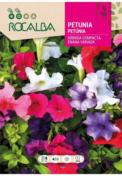 PETÚNIA HÍBRIDA COMPACTA ANÃ VARIADA