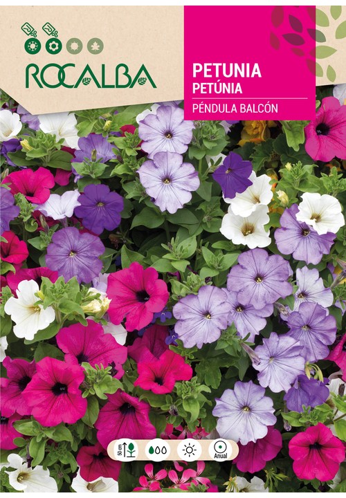 PETÚNIA PÊNDULA DE BALCÃO VARIADA