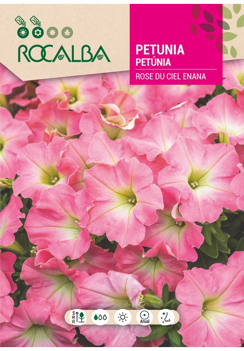 PETUNIA ANÃ ROSE DU CIEL