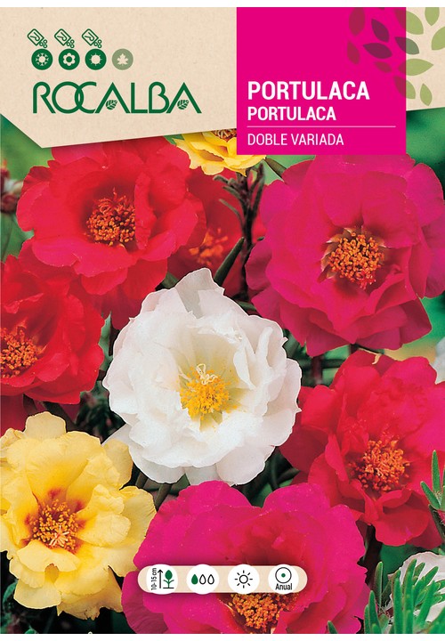PORTULACA DUPLA VARIADA