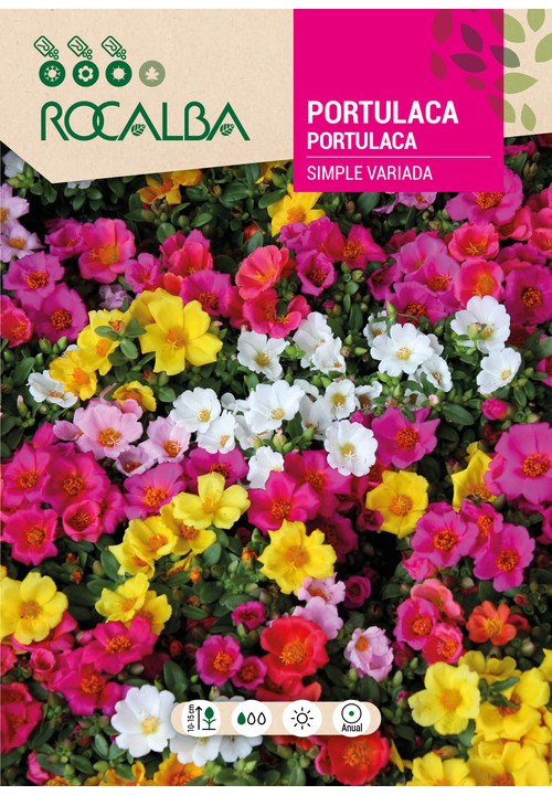 PORTULACA SIMPLE VARIADA