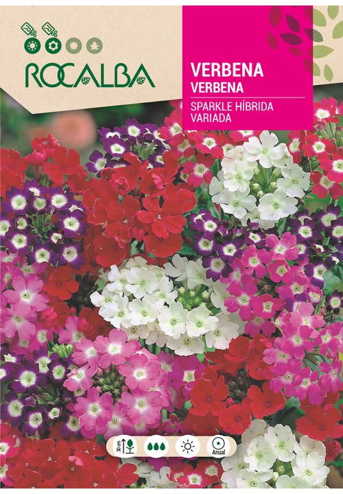 VERBENA HÍBRIDA SPAKLE VARIADA