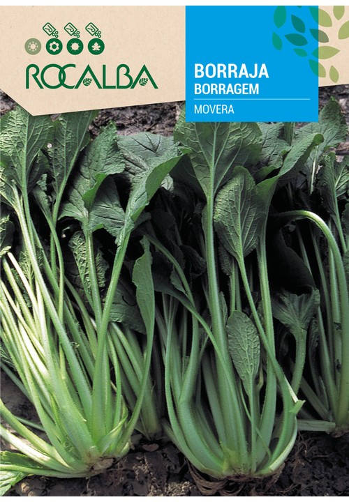 BORRAGEM MOVERA