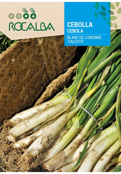 CALÇOTS