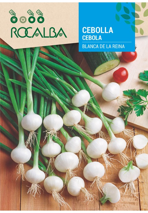 CEBOLA BLANCA DE LA REINA