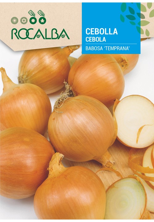 CEBOLA BABOSA 'TEMPRANA'