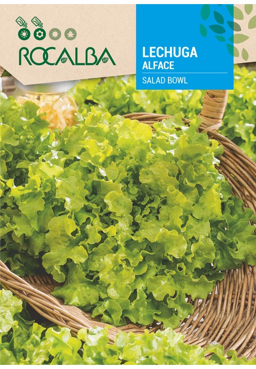LETTUCE SALAD BOWL