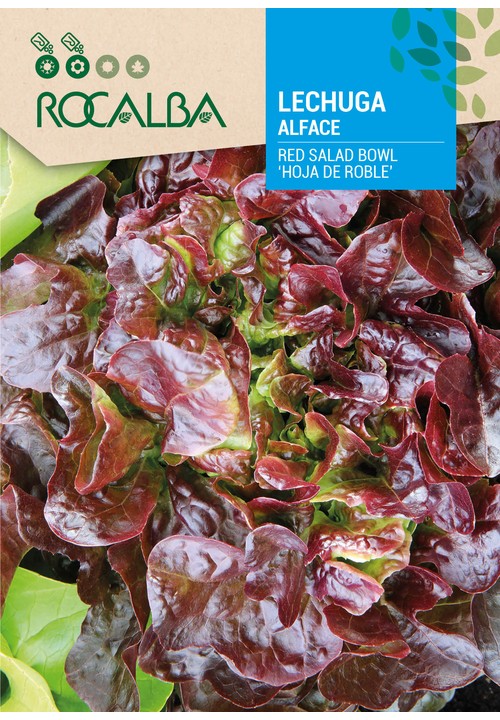 LETTUCE RED SALAD BOWL 'HOJA DE ROBLE'