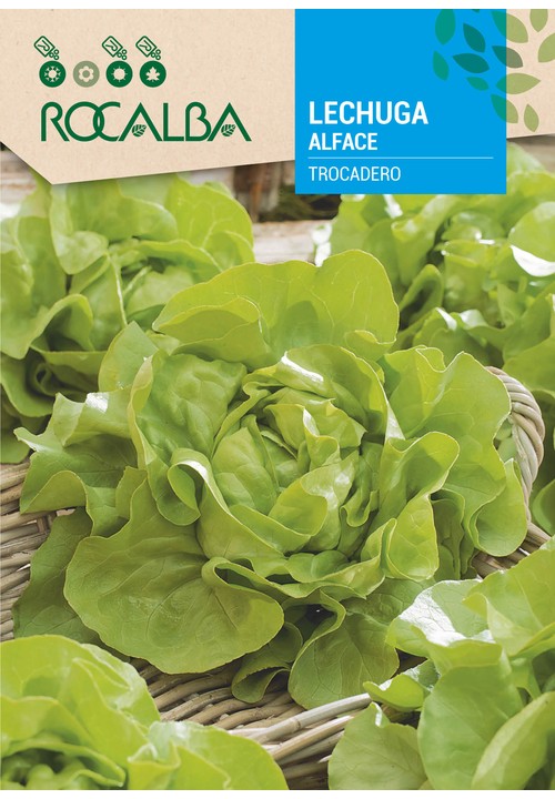 LETTUCE TROCADERO