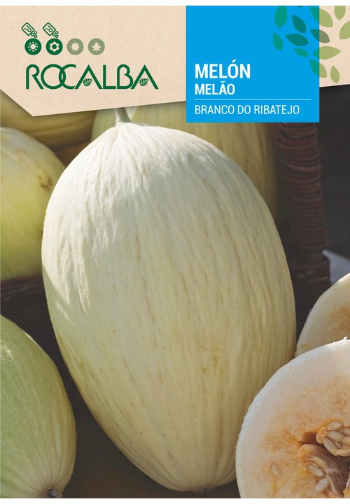 MELÃO BRANCO DO RIBATEJO