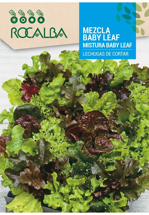 BABY LEAF MIX 'Lettuces to cut'
