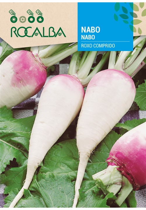 NABO ROXO COMPRIDO