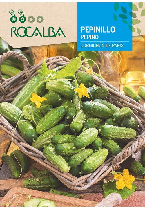 PEPINO CORNICHÓN DE PARÍS