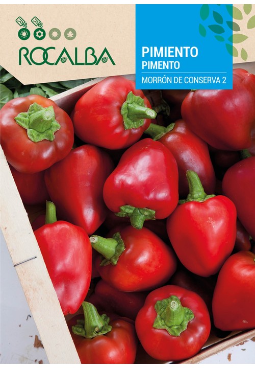 PIMENTO MORRÓN DE CONSERVA 2