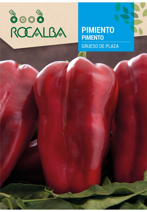 PIMENTO GRUESO DE PLAZA