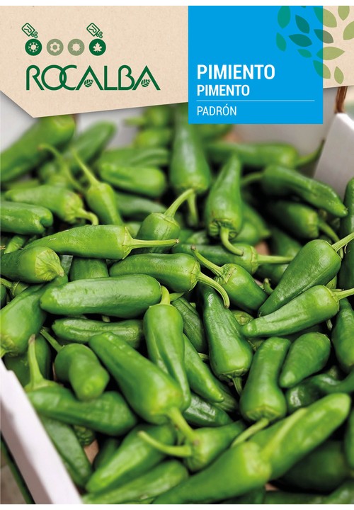 PIMENTO DE PADRÓN