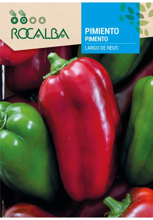 PIMENTO LARGO DE REUS