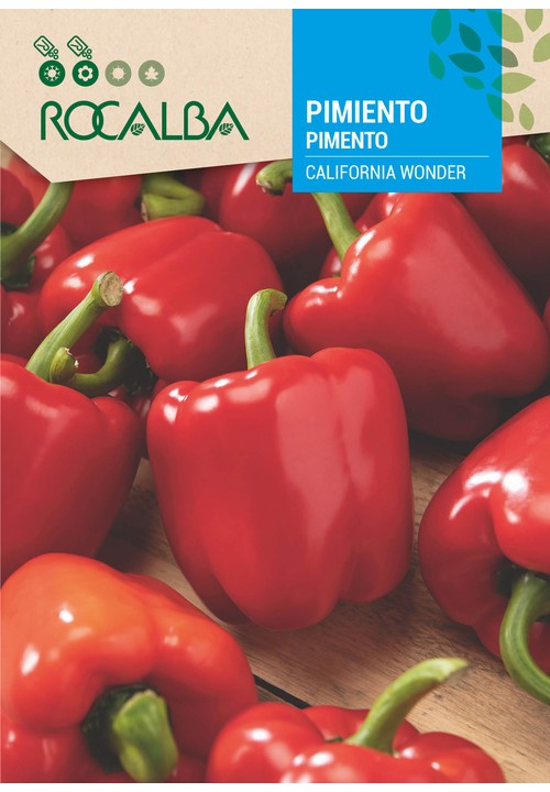 PIMENTO CALIFORNIA WONDER
