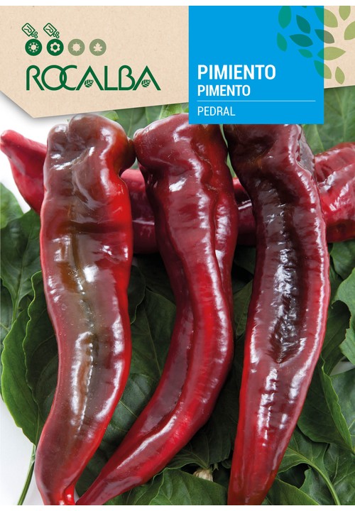 PIMENTO PEDRAL