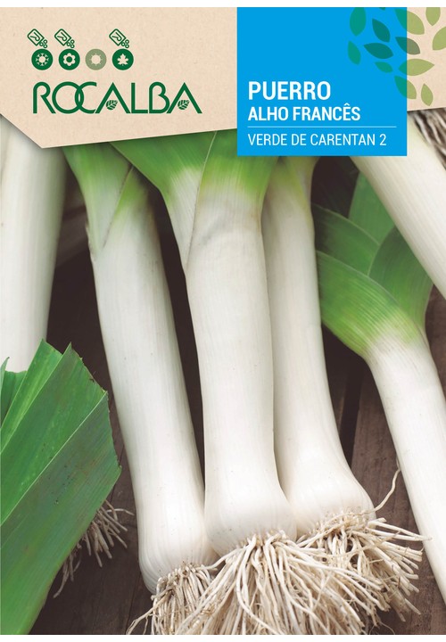 ALHO FRANCÊS VERDE DE CARENTAN