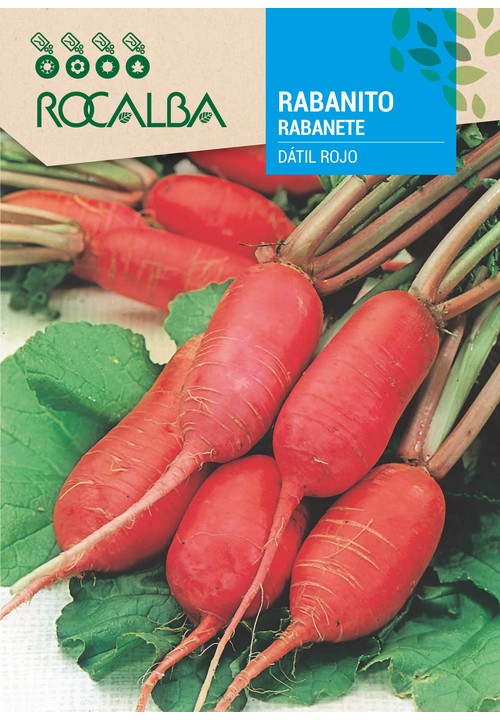 RABANETE DÁTIL ROJO