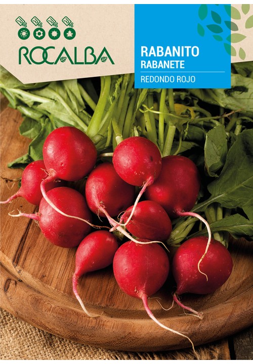 RABANETE REDONDO ROJO