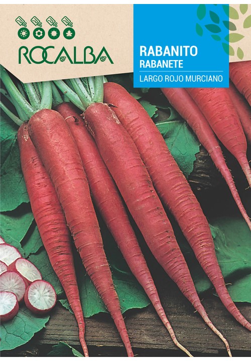 RABANETE LARGO ROJO MURCIANO