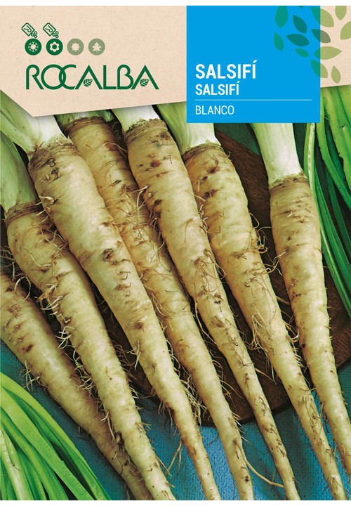 SALSIFÍ BLANCO