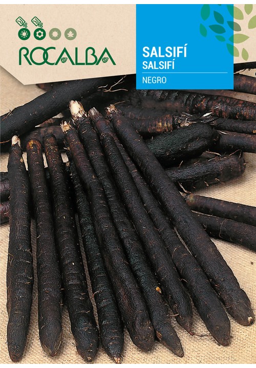 SALSIFÍ NEGRO