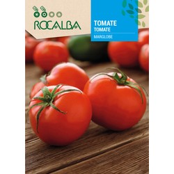 TOMATE MARGLOBE