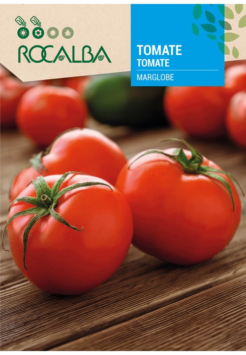 TOMATE MARGLOBE