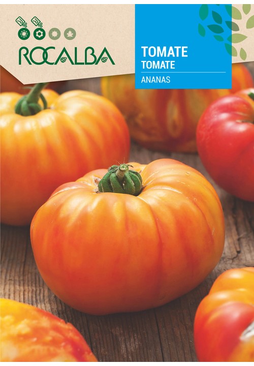 TOMATE ANANAS
