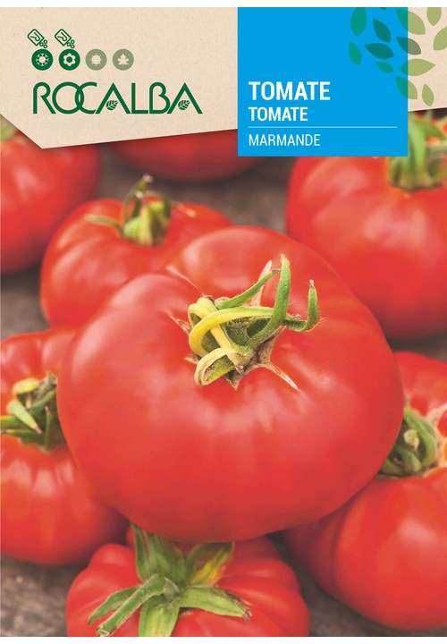 TOMATE MARMANDE