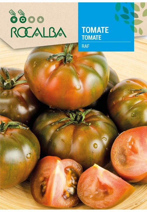 TOMATE RAF