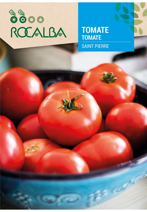 TOMATE SAINT PIERRE