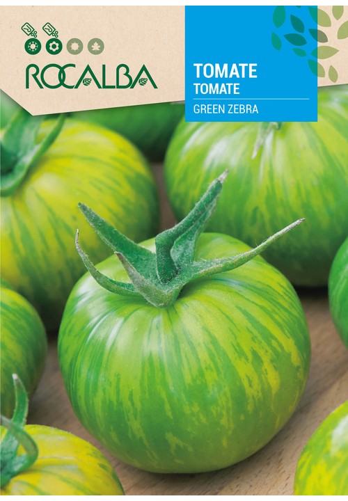 TOMATE GREEN ZEBRA