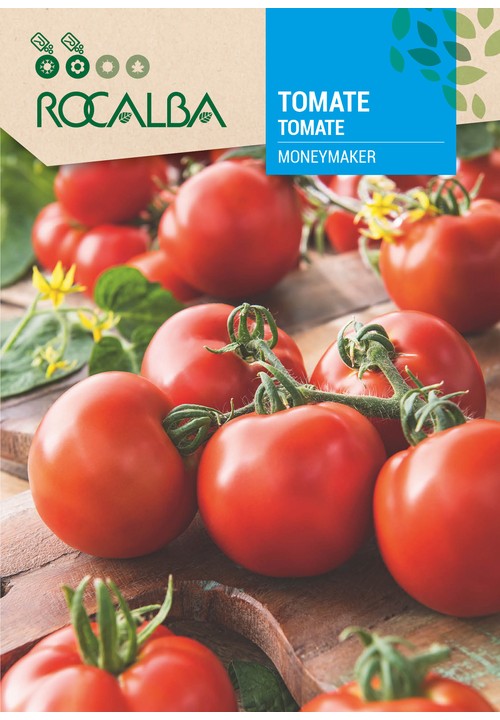 TOMATE MONEYMAKER