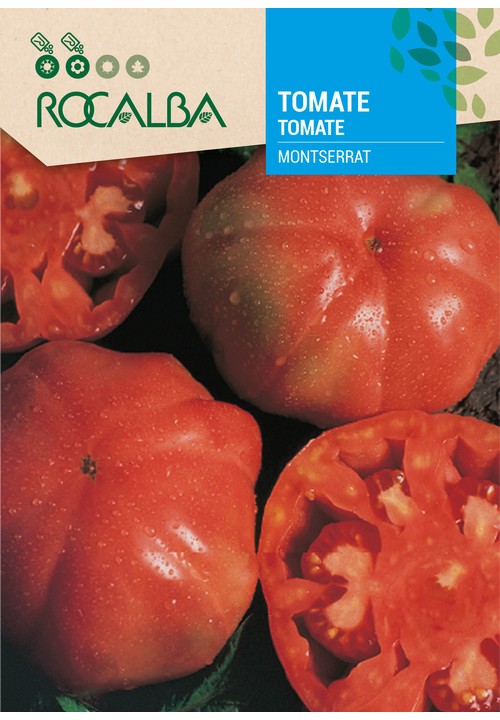 TOMATE MONTSERRAT
