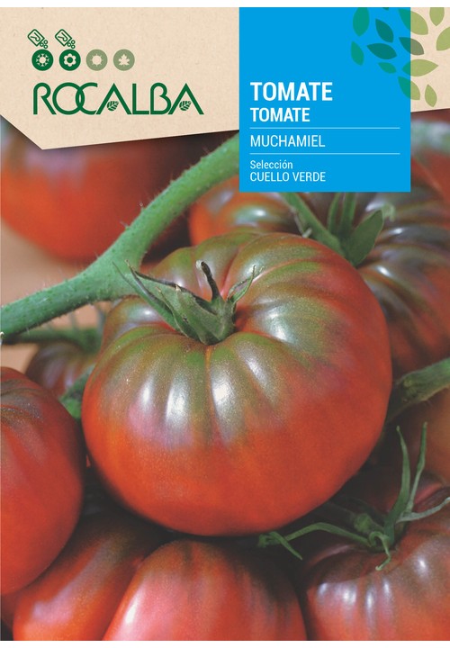 TOMATE MUCHAMIEL Selección CUELLO VERDE