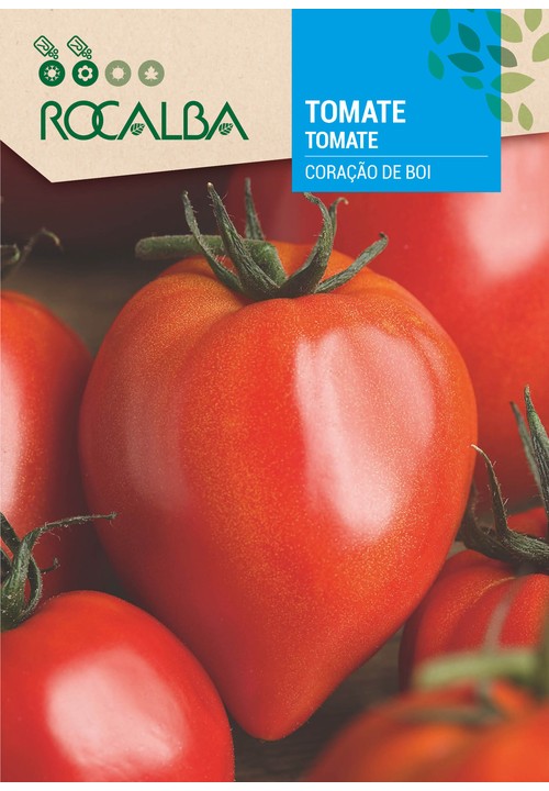 TOMATE CORAÇÃO DE BOI