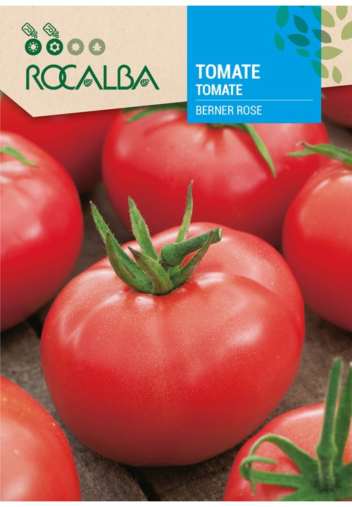 TOMATE BERNER ROSE