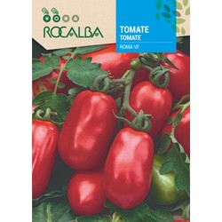 TOMATE ROMA VF