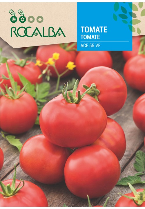 TOMATE ACE 55 VF