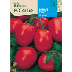 TOMATE RIO GRANDE