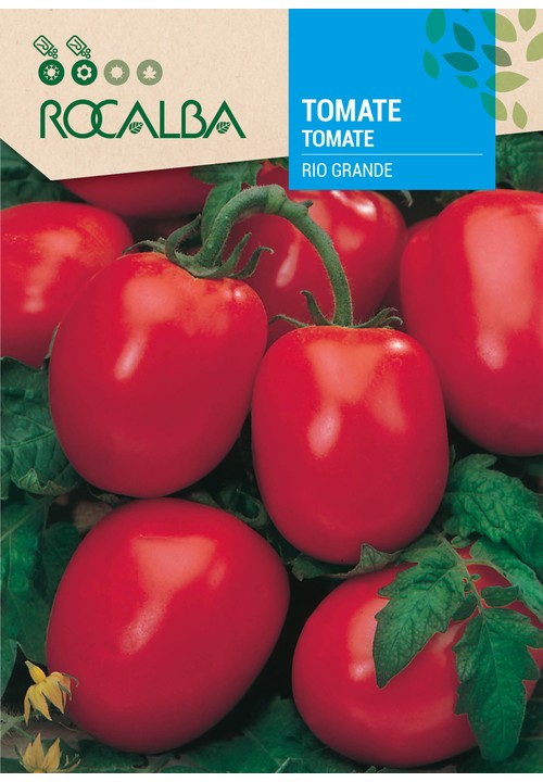TOMATE RIO GRANDE