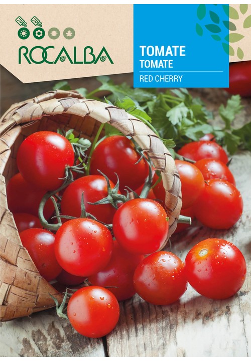 TOMATE RED CHERRY
